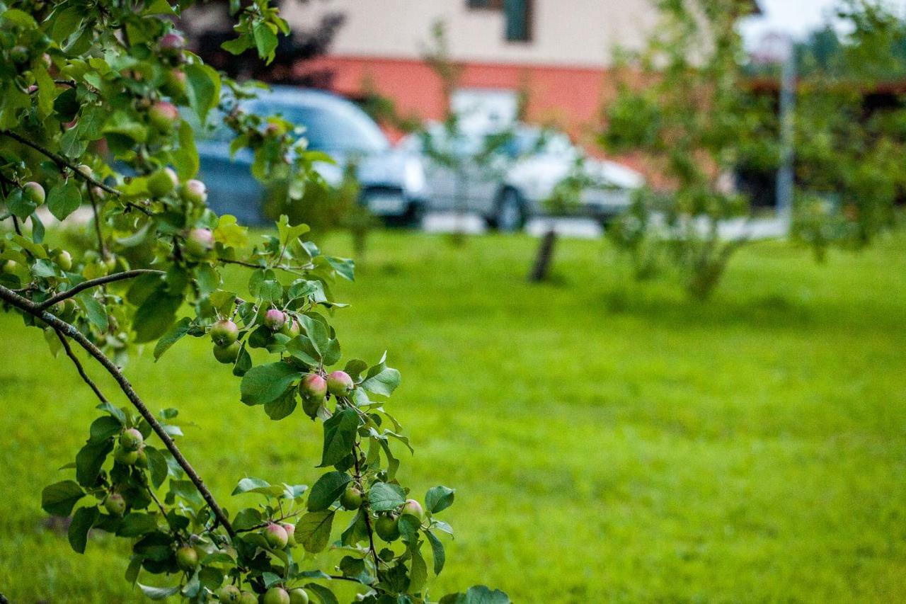 Laimnieki Hotel Augsciems Kültér fotó